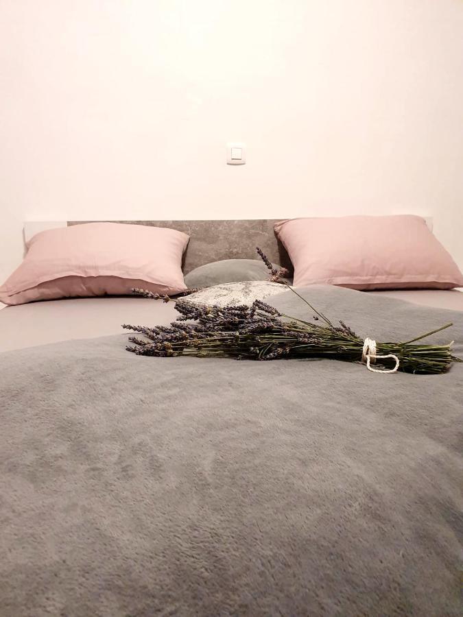 Apartman Skolj Jovici  Экстерьер фото